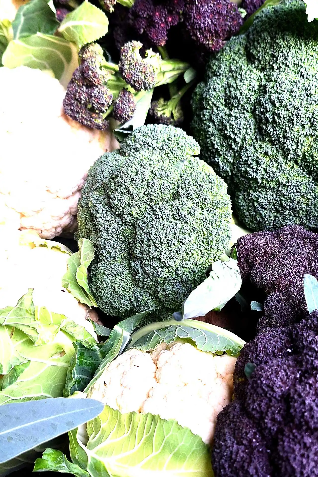 Greta - Blumen, Ideen & mehr... in Markkleeberg und Umgebung - Regionale Produkte Kooperation mit regionalen Lieferanten. - Regional & saisonal Produkte aus regionalem Anbau - Blumenkohl, Brokkoli, Fenchel und vieles mehr - Aktuelle Frischeangebote